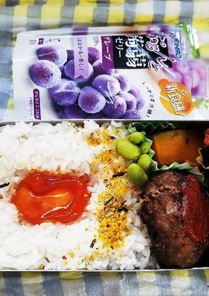 ハンバーグ弁当(7.23)-レシピのメイン写真