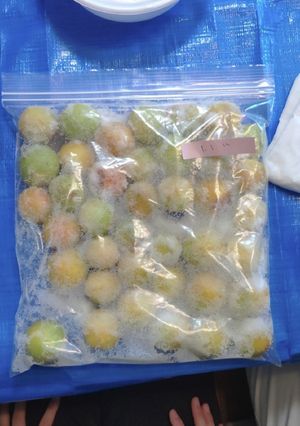 梅干し 【1日目 梅漬け込み】-レシピのメイン写真