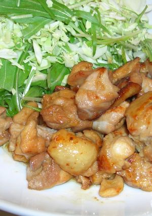 鶏もも肉の照り焼き☆-レシピのメイン写真