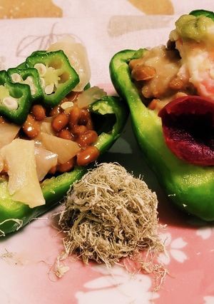 “ピーマン4号参上!”納豆カリ梅ガリポテ-レシピのメイン写真
