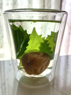 熱中症予防に♡梅青じそ茶-レシピのメイン写真