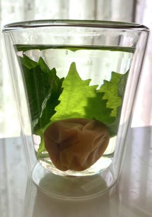 熱中症予防に♡梅青じそ茶-レシピのメイン写真