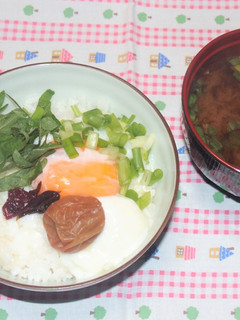 しそと梅干しの温玉ご飯-レシピのメイン写真
