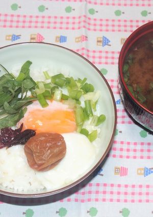 しそと梅干しの温玉ご飯-レシピのメイン写真