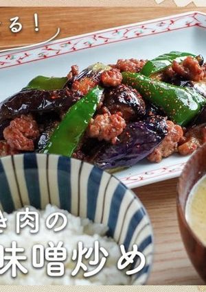 茄子とひき肉のピリ辛味噌炒め-レシピのメイン写真