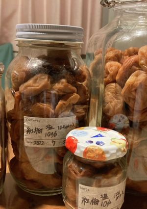 塩分10%ハチミツ梅土用干し〜保存-レシピのメイン写真