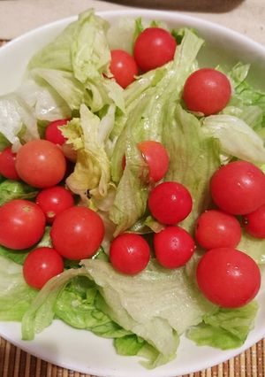 ズボラ!ちぎりレタスプチトマトのサラダ-レシピのメイン写真