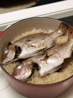 鯛めし-レシピのメイン写真