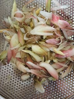 みょうがの保存方法-レシピのメイン写真