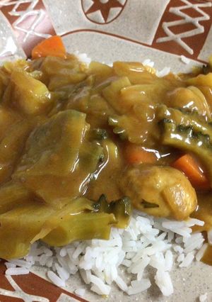 抗癌カレー-レシピのメイン写真