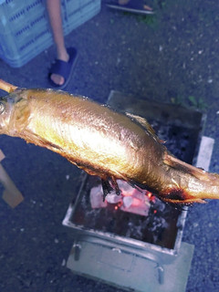 鮎の塩焼き-レシピのメイン写真