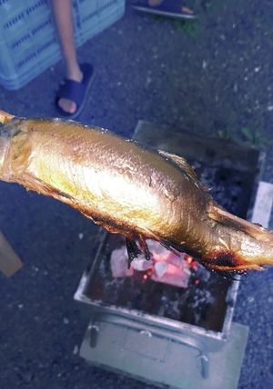 鮎の塩焼き-レシピのメイン写真