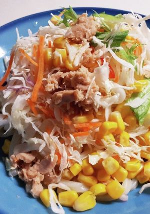 コンビニサラダを乗っけるだけサラダうどん-レシピのメイン写真
