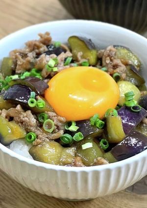 甘辛ナスそぼろ丼-レシピのメイン写真
