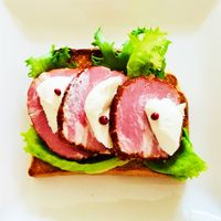 はむさんどページ 基本からアレンジまで！思わずつくりたくなる「ハム オープン