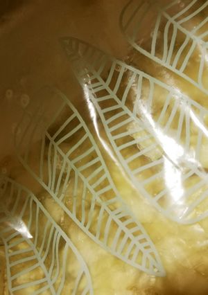 キャベツと塩だけで作る漬物-レシピのメイン写真