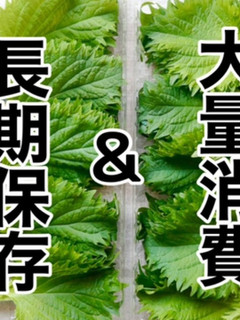 レンジで簡単!ドライ大葉の作り方-レシピのメイン写真