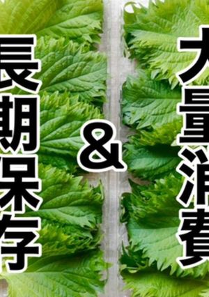 レンジで簡単！ドライ大葉の作り方-レシピのメイン写真