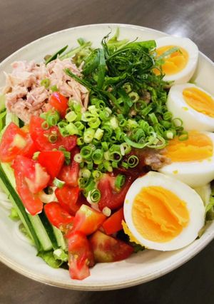 野菜たっぷりサラダうどん-レシピのメイン写真