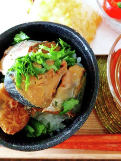 材料3つ!火を使わずに!のせるだけ鯖缶丼-レシピのメイン写真