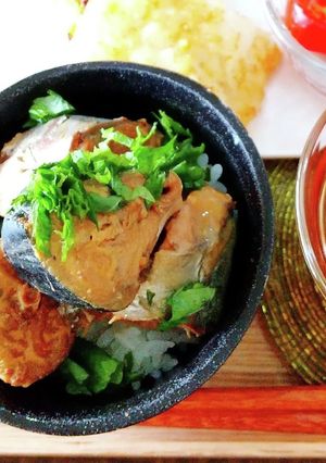 材料3つ！火を使わずに！のせるだけ鯖缶丼-レシピのメイン写真