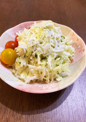 キャベツとシラスのサラダ✨-レシピのメイン写真