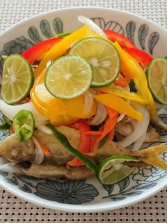 野菜たっぷり豆鯵の南蛮漬け-レシピのメイン写真