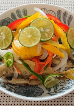 野菜たっぷり豆鯵の南蛮漬け-レシピのメイン写真