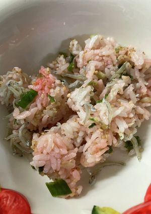 梅肉じゃこオガタご飯-レシピのメイン写真