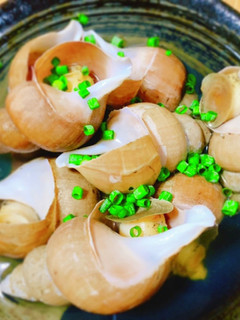 汁まで旨いバイ貝の煮物-レシピのメイン写真