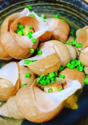 汁まで旨いバイ貝の煮物-レシピのメイン写真