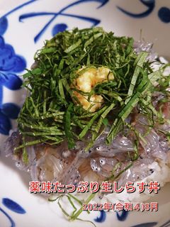 薬味たっぷり生しらす丼-レシピのメイン写真