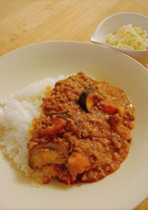 茄子とトマトのスパイシーカレー-レシピのメイン写真