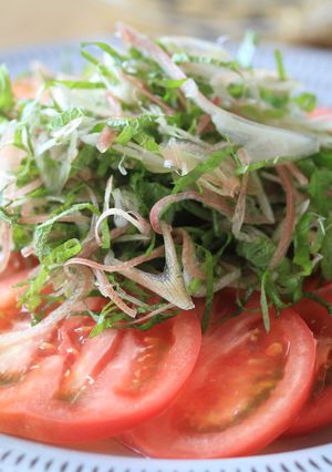 薬味たっぷりトマトサラダ-レシピのメイン写真