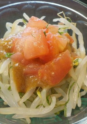 もやしと大葉のさっぱりサラダ-レシピのメイン写真