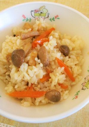 お手軽かんたん　鶏肉しょうがごはん-レシピのメイン写真
