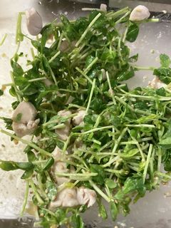 豆苗とササミの味噌マヨオガタサラダ-レシピのメイン写真