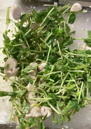 豆苗とササミの味噌マヨオガタサラダ-レシピのメイン写真