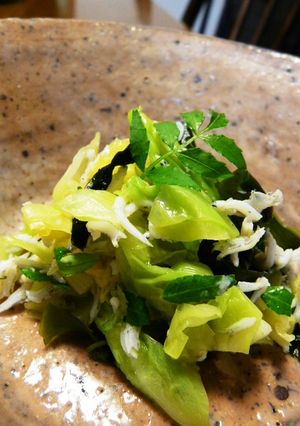 春キャベツとしらすのおひたし木の芽風味-レシピのメイン写真
