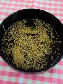 わかめスープ-レシピのメイン写真