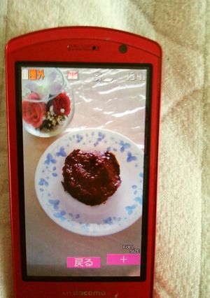 低カロリーなザッハトルテのレシピ-レシピのメイン写真