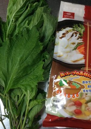 紫蘇　シソあきた飽きた-レシピのメイン写真