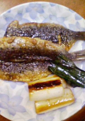 いわしの蒲焼-レシピのメイン写真