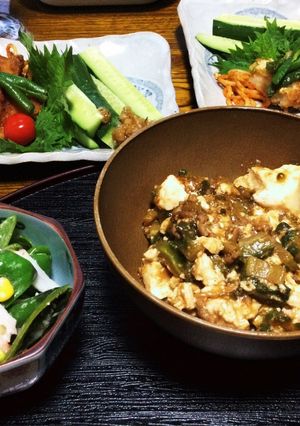 ゴーヤ入りの麻婆豆腐-レシピのメイン写真