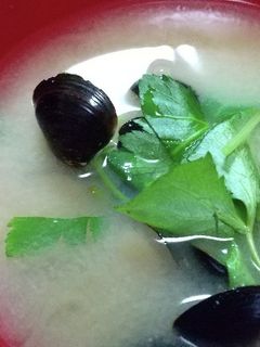 シジミのお味噌汁-レシピのメイン写真