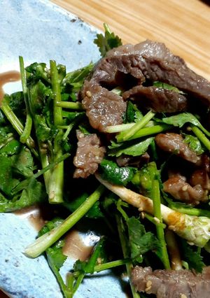 パクチー牛肉サラダ-レシピのメイン写真