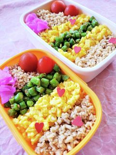 丼弁当☆みんな大好き!!そぼろ丼☆-レシピのメイン写真