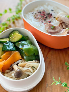 分け盛りで10分弁当 豚しめじもやし炒め-レシピのメイン写真
