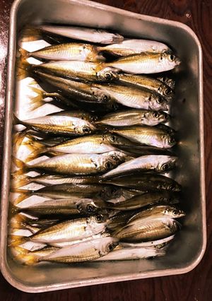 アジフライとはまた違う!豆アジの天ぷら!-レシピのメイン写真