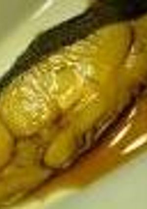 フライパンで♪簡単♪カレイの煮付け-レシピのメイン写真